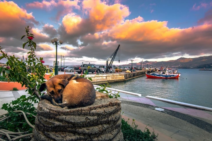 How To Get From Agios Nikolaos To Sitia?